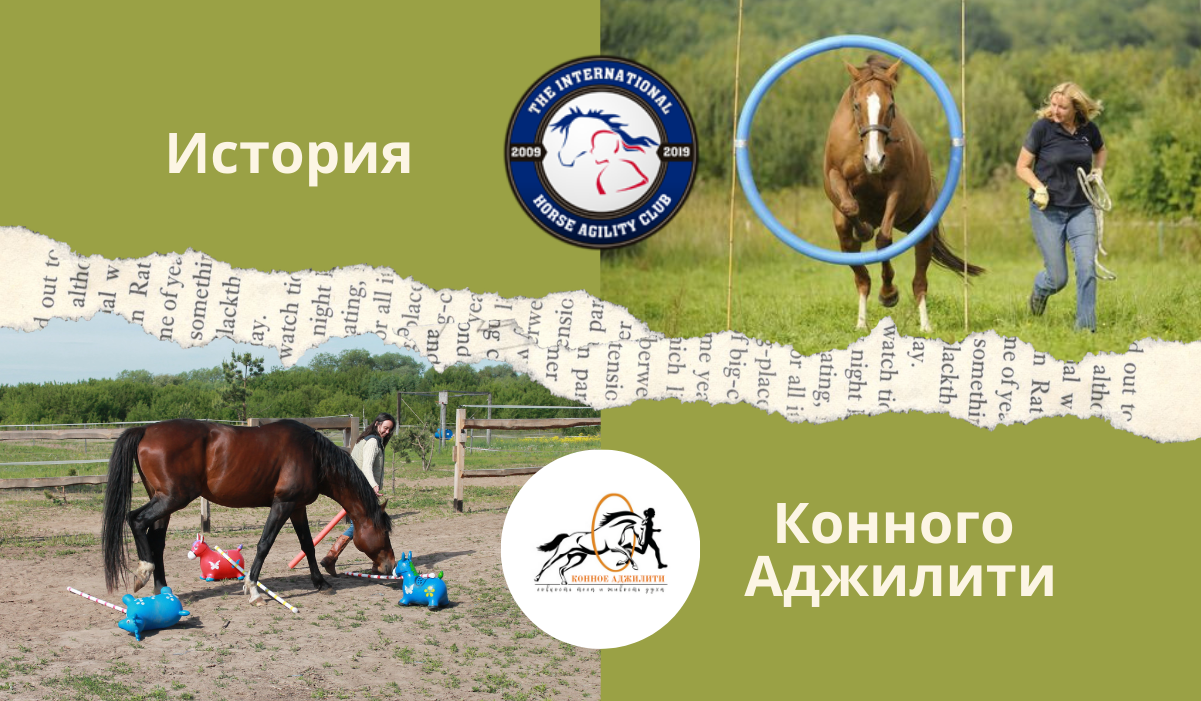 ИСТОРИЯ КОННОГО АДЖИЛИТИ