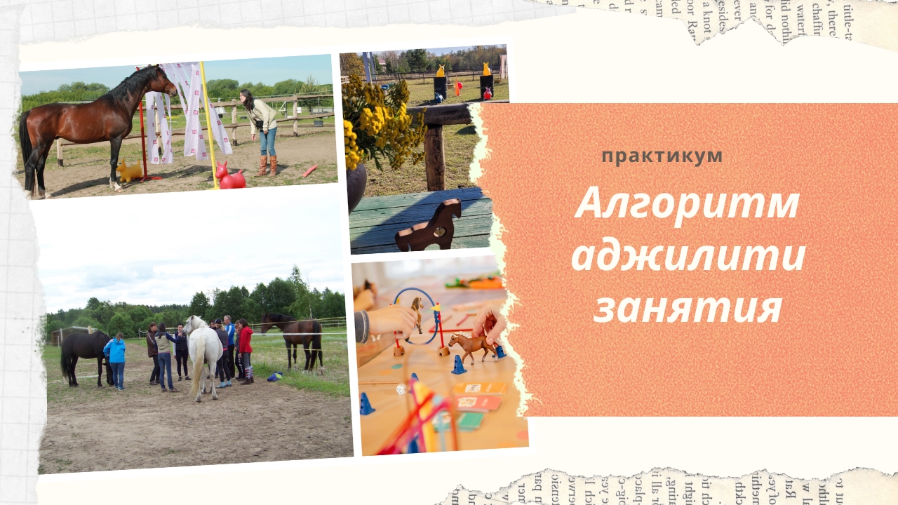 Практикум по организации и проведению аджилити-занятия для клиентов